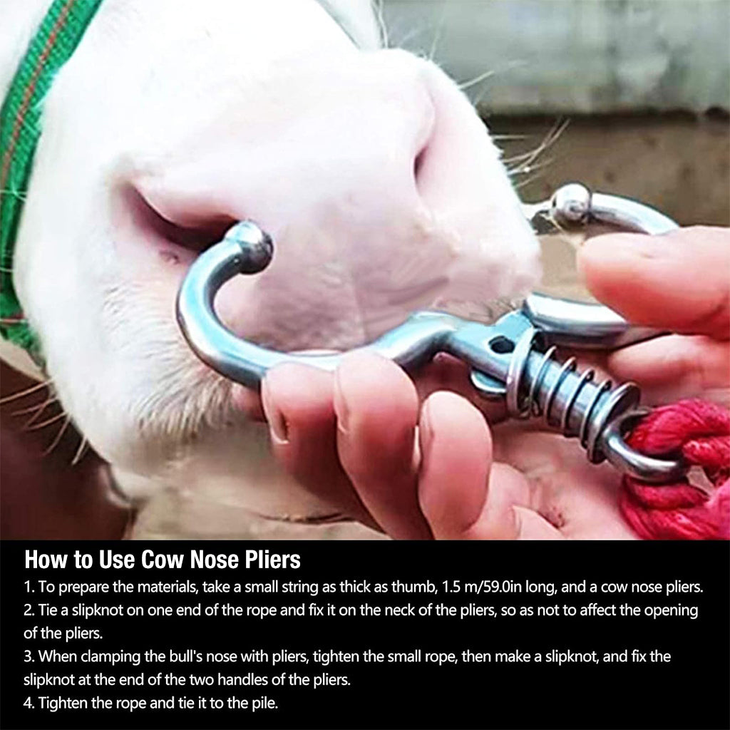 Qpets® Cattle Nose Ring No-piercing Bull Nose Ring Clip-on Cattle Nose Ring Stainless Steel Detachable Cattle Cows Nose Ring Qpets® Cattle Nose Ring No-piercing Bull Nose Ring Clip-on Cattle Nose Ring Stainless Steel Detachable Cattle Cows Nose Ring